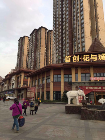 首創(chuàng)花與城，自然美景探索之旅的最新動態(tài)